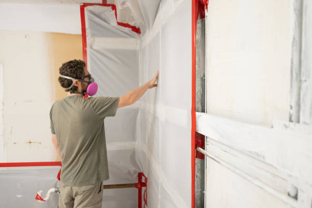 Mold Removal for HVAC Installations in Rahway, NJ