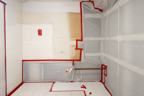 Reliable Rahway, NJ Mold Removal Solutions